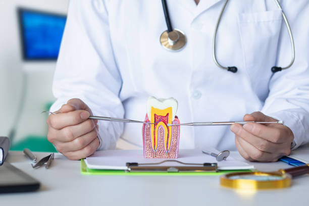 Best Emergency Treatment for Dental Infections or Abscesses in Longview, WA